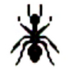 桌面小蚂蚁（12-Ants）