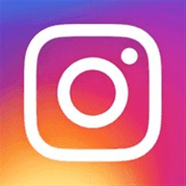 instagram安卓 v300.0.0.0.44